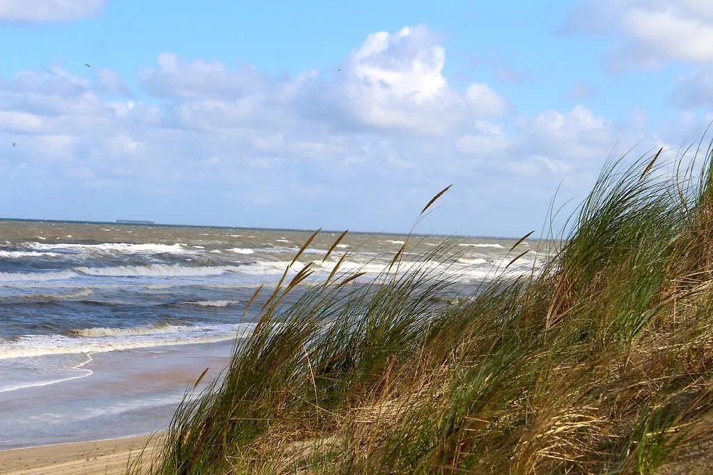Hofje Van Maas Zandvoort Hotel