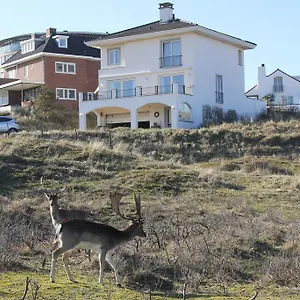 Appartement Dune